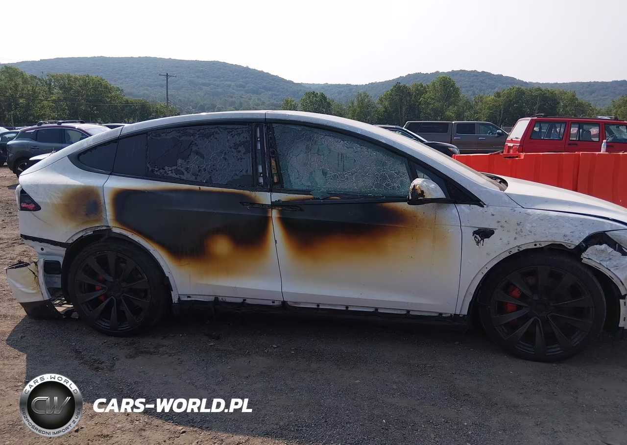 2024 Tesla Model X Plaid Tri Motor All-Wheel Drive VIN:7SAXCBE69RF448592 - 6