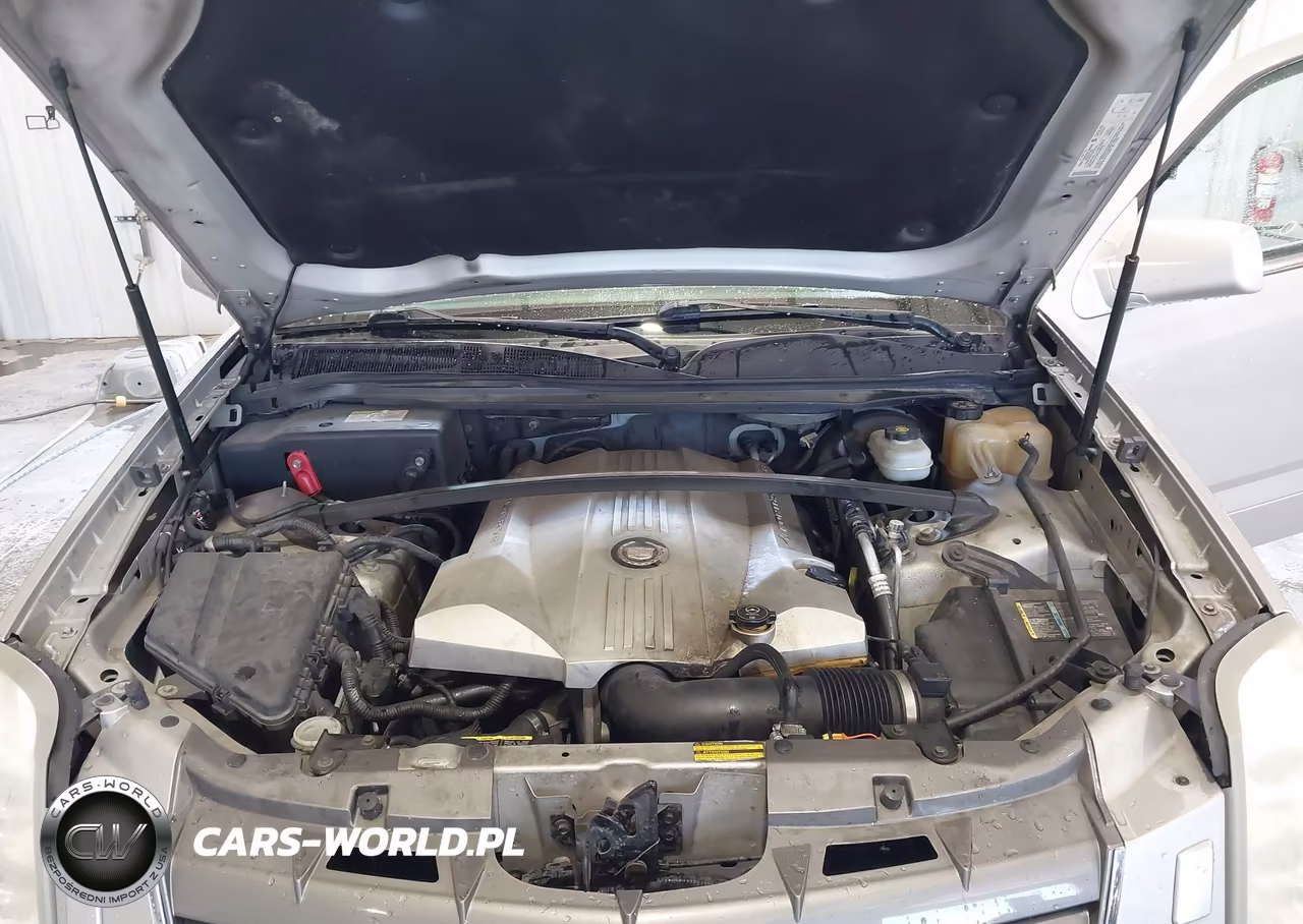 2004 Cadillac Srx V8 VIN:1GYDE63A640129161 - 10