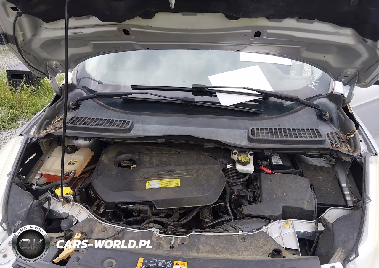 2013 Ford Escape Sel VIN:1FMCU0HX2DUA55143 - 10