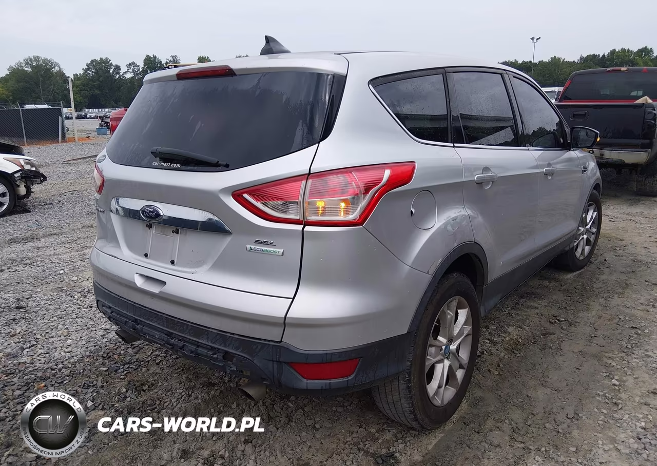 2013 Ford Escape Sel VIN:1FMCU0HX2DUA55143 - 4