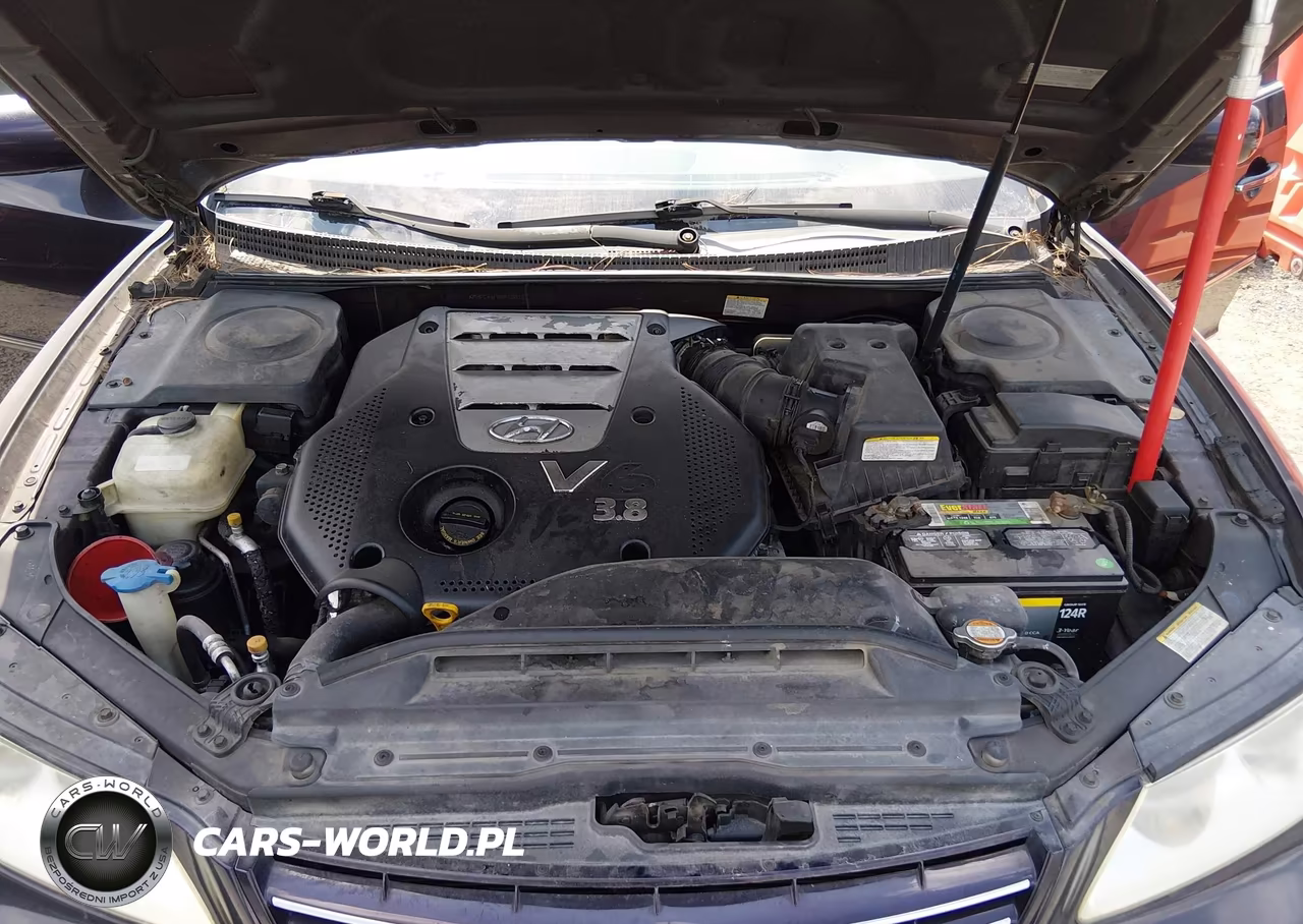 2007 Hyundai Azera Limited-Se VIN:KMHFC46F87A198153 - 10