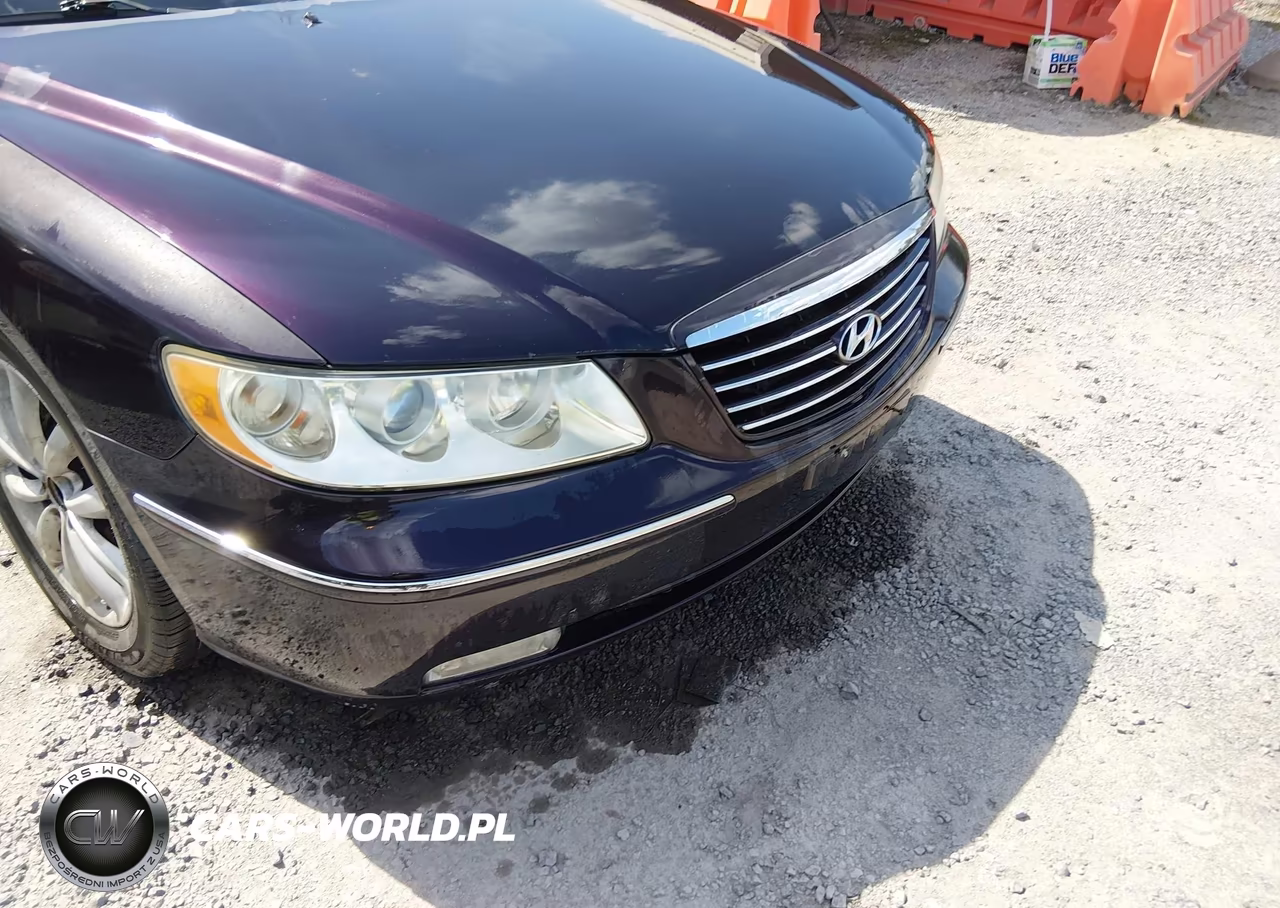 2007 Hyundai Azera Limited-Se VIN:KMHFC46F87A198153 - 12