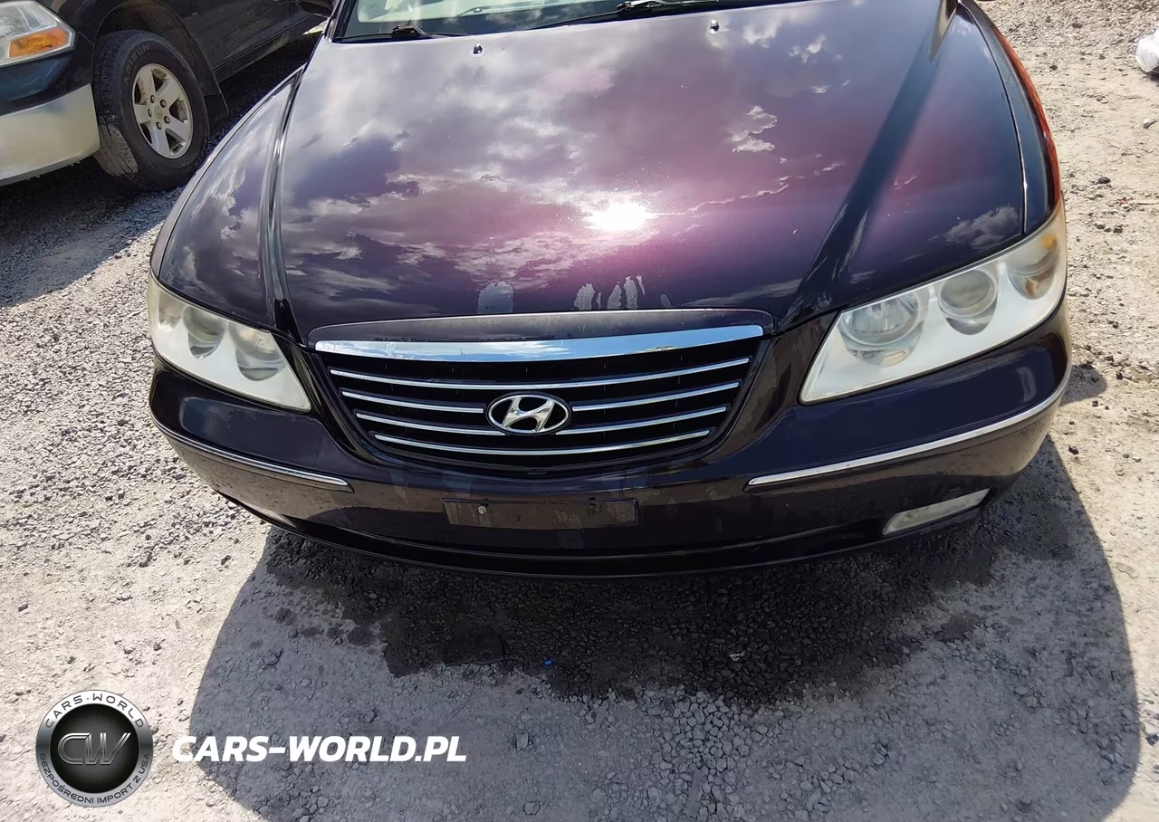 2007 Hyundai Azera Limited-Se VIN:KMHFC46F87A198153 - 6