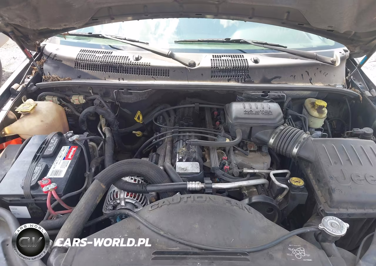 2004 Jeep Grand Cherokee Laredo VIN:1J4GW48S04C301862 - 10