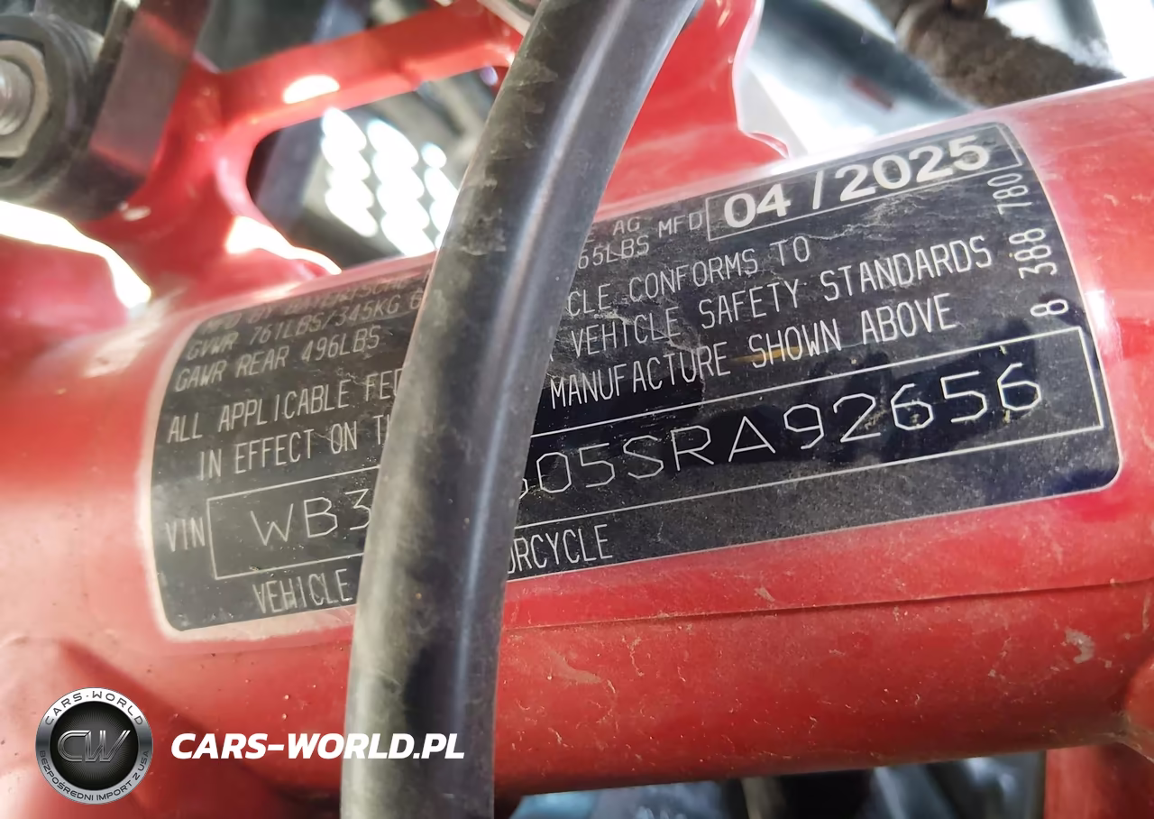 2025 BMW G310 Gs VIN:WB30G3305SRA92656 - 10
