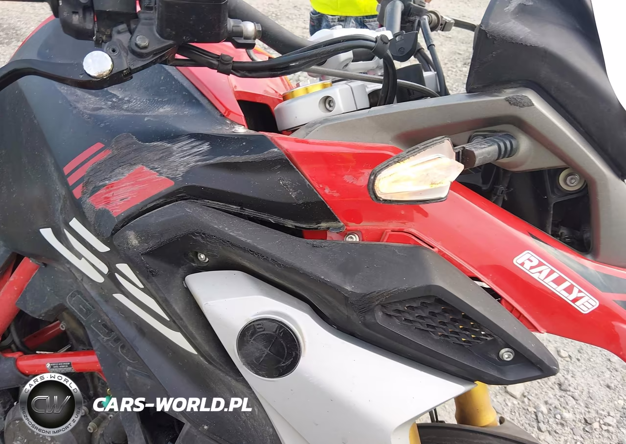 2025 BMW G310 Gs VIN:WB30G3305SRA92656 - 14