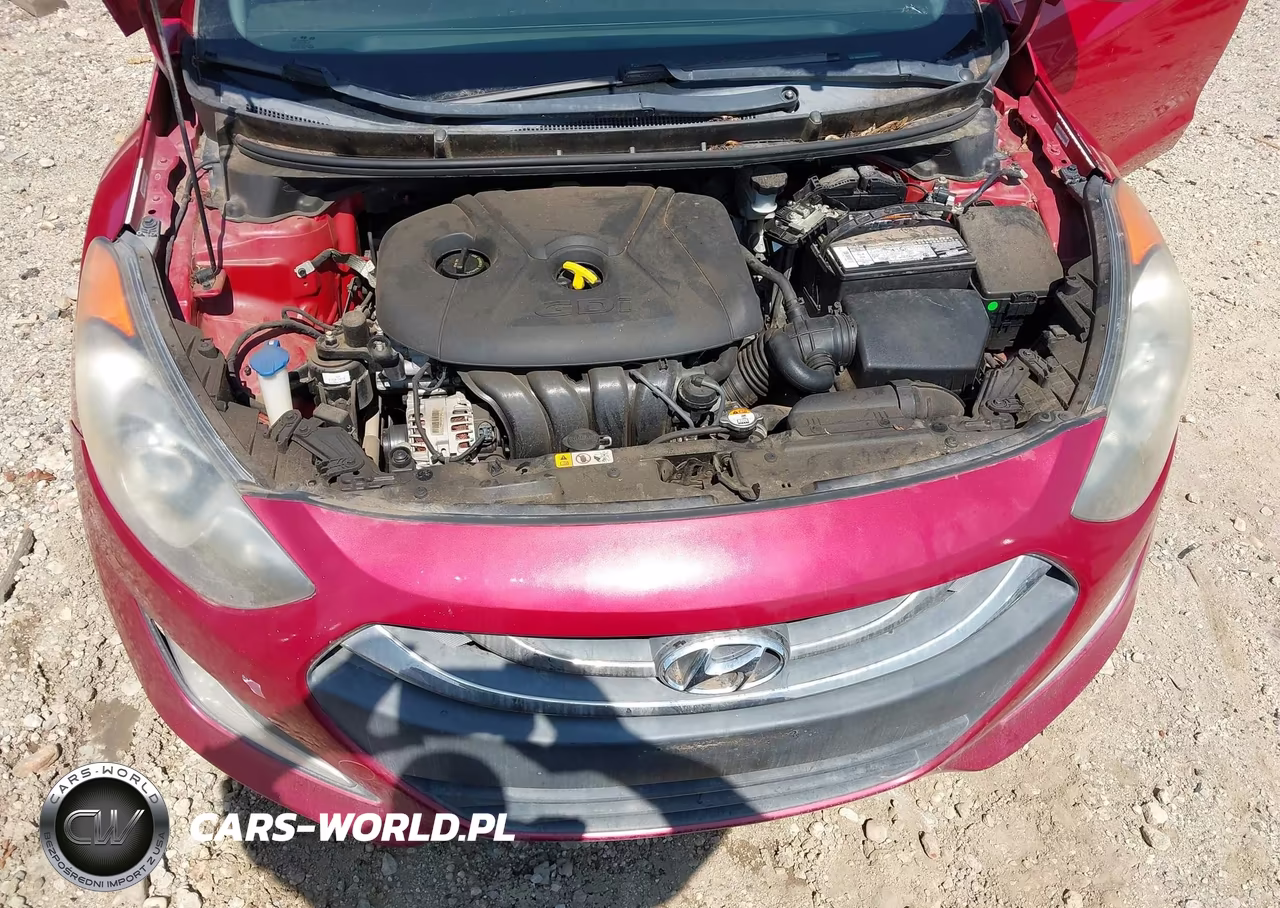2015 Hyundai Elantra Gt VIN:KMHD35LH9FU249790 - 10