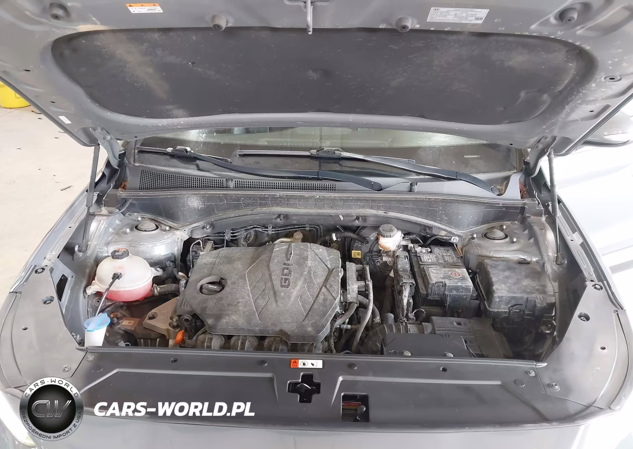 2022 Hyundai Santa Fe Sel VIN:5NMS3DAJ2NH433227 - 10