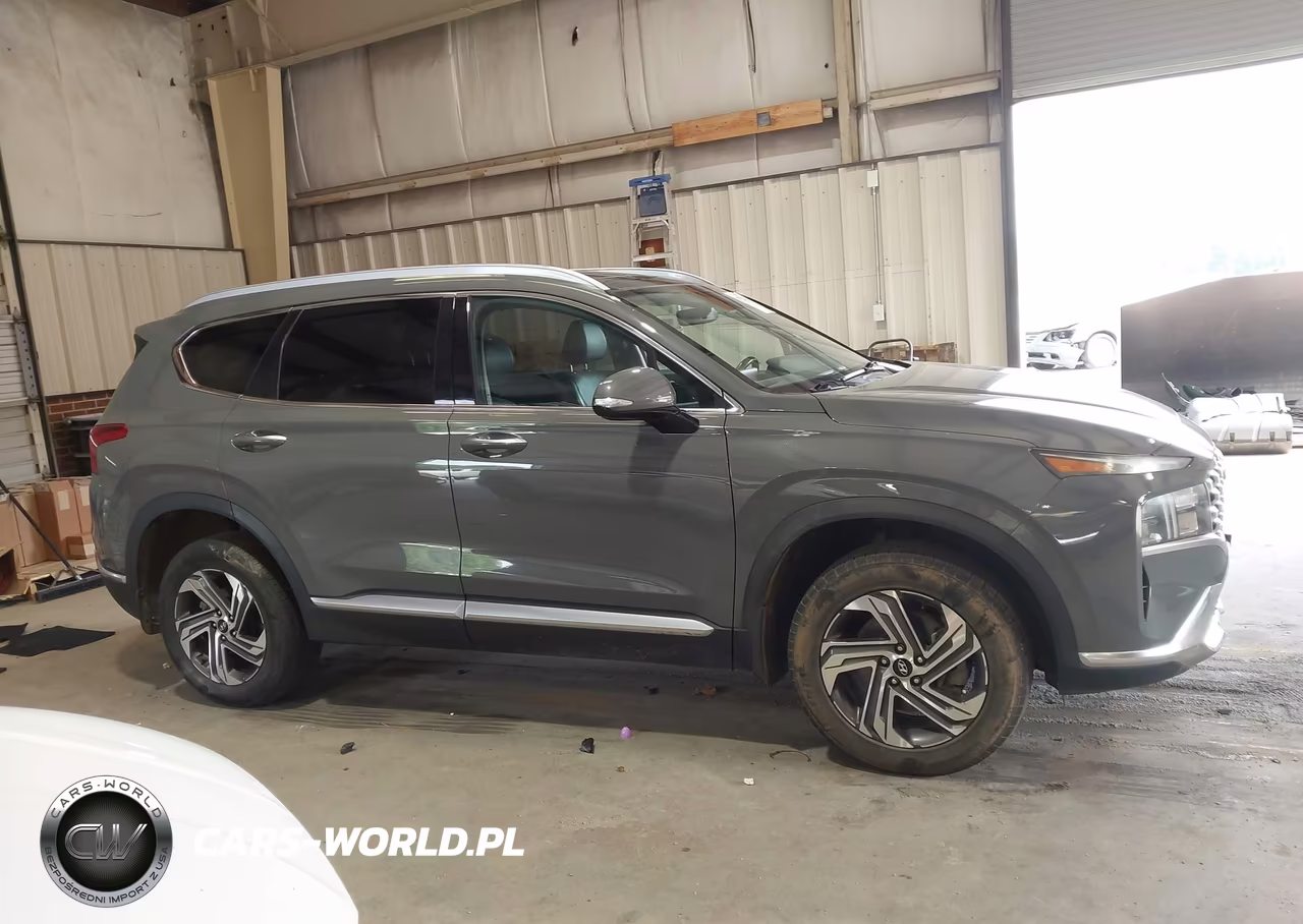 2022 Hyundai Santa Fe Sel VIN:5NMS3DAJ2NH433227 - 13