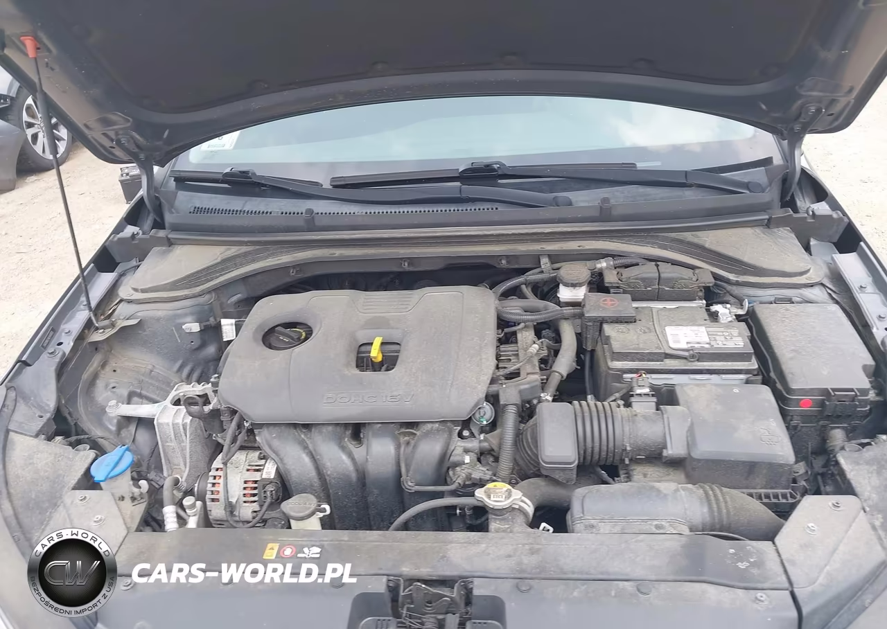 2020 Hyundai Elantra Sel VIN:5NPD84LF4LH543070 - 10