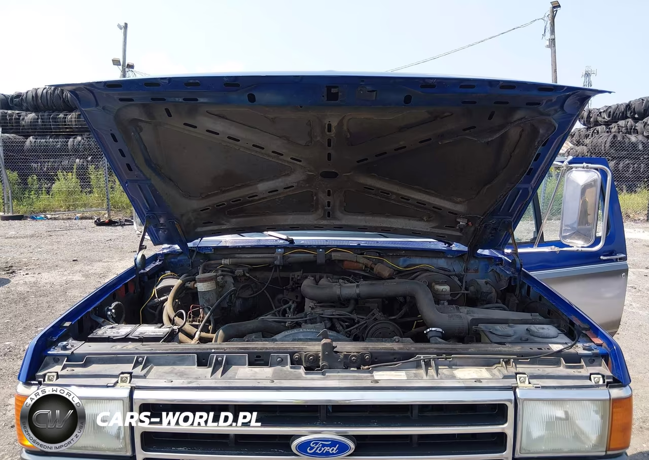1990 Ford F250 VIN:2FTHF26GXLCA46532 - 10