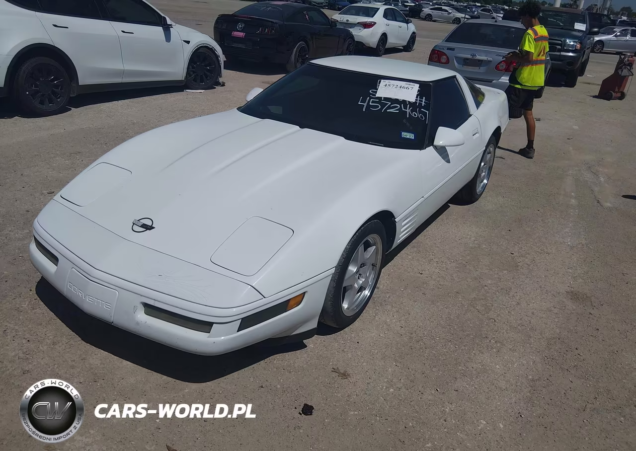 1993 Chevrolet Corvette VIN:1G1YY23P7P5109562 - 2