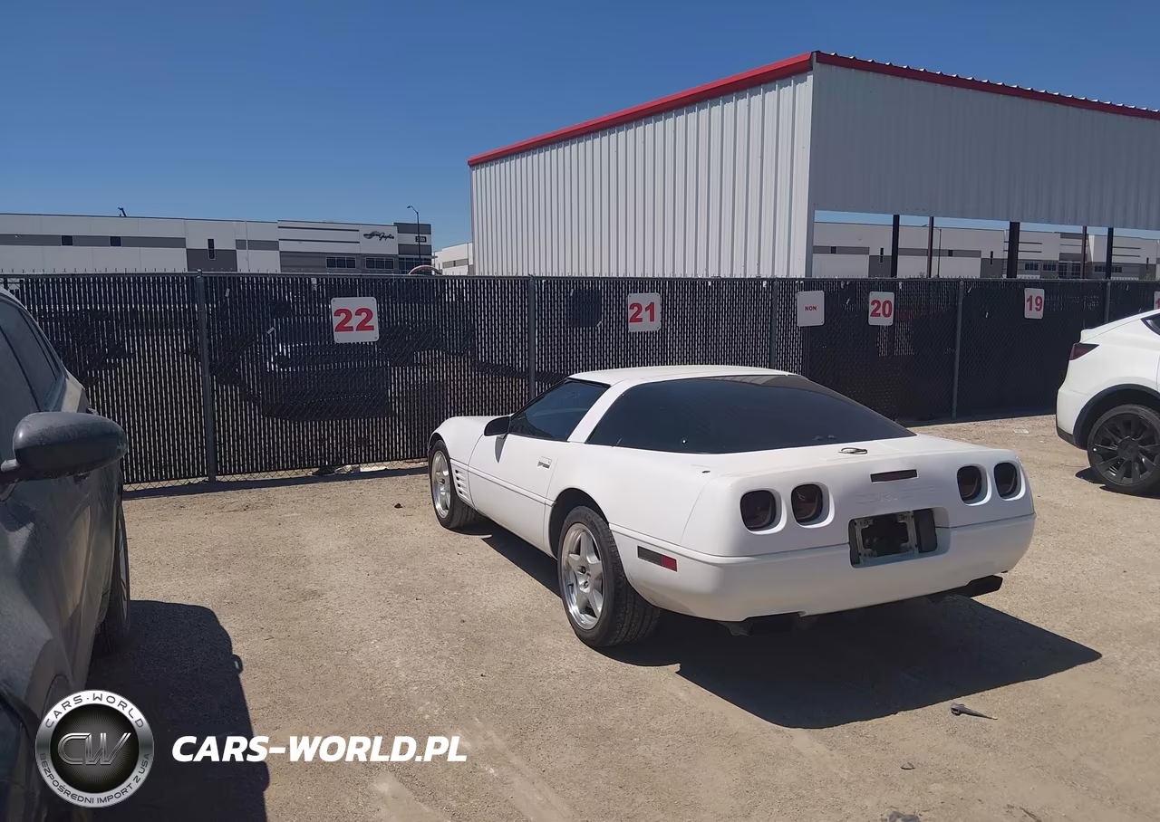 1993 Chevrolet Corvette VIN:1G1YY23P7P5109562 - 3