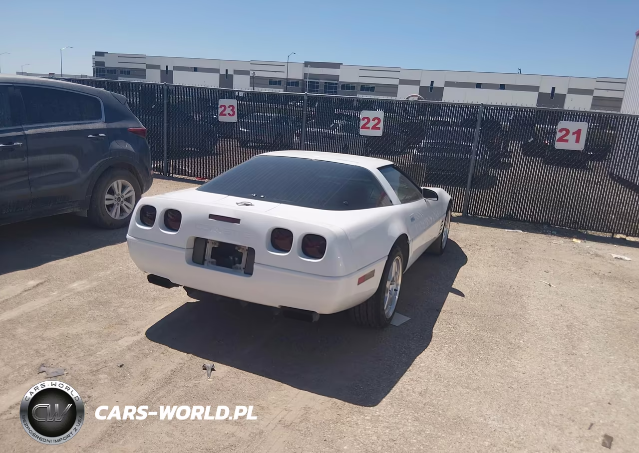 1993 Chevrolet Corvette VIN:1G1YY23P7P5109562 - 4