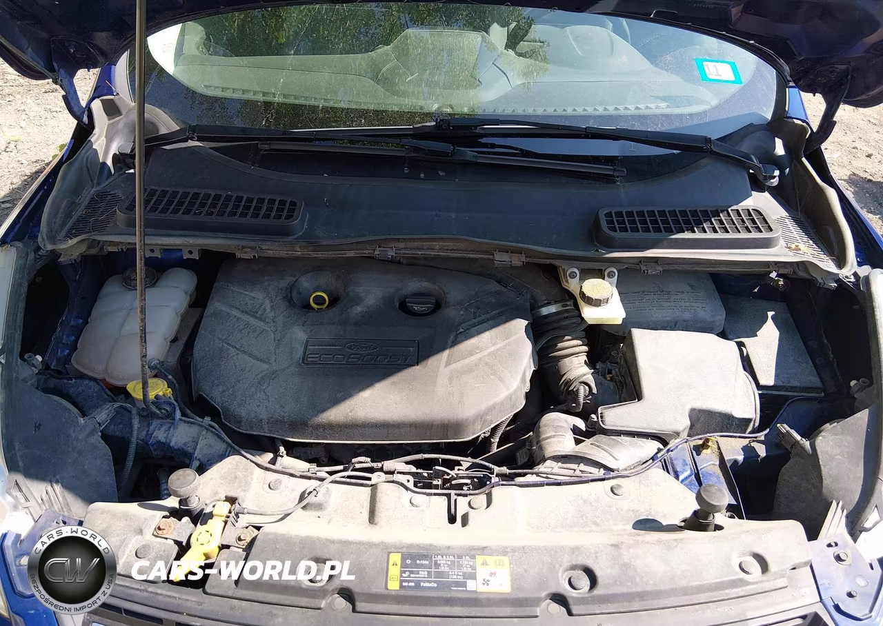 2014 Ford Escape Se VIN:1FMCU9G98EUA31681 - 10
