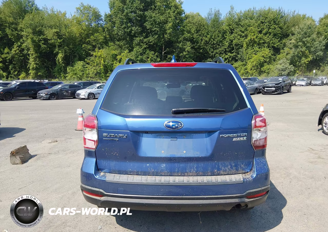 2016 Subaru Forester 2.5I Premium VIN:JF2SJADC5GH552090 - 16