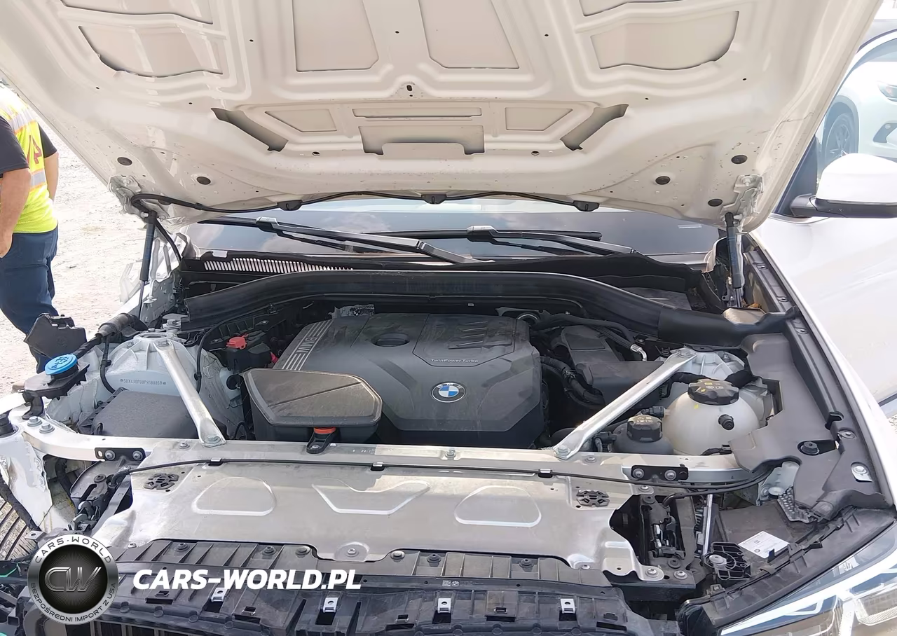 2023 BMW X3 Sdrive30I VIN:5UX43DP08P9S88859 - 10