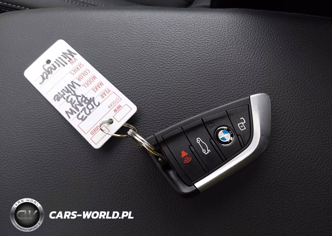 2023 BMW X3 Sdrive30I VIN:5UX43DP08P9S88859 - 11