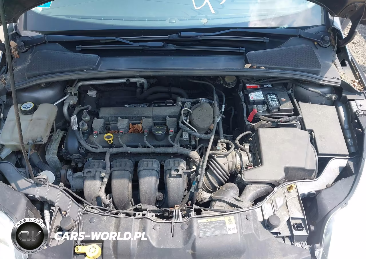 2013 Ford Focus Se VIN:1FADP3F25DL345347 - 10