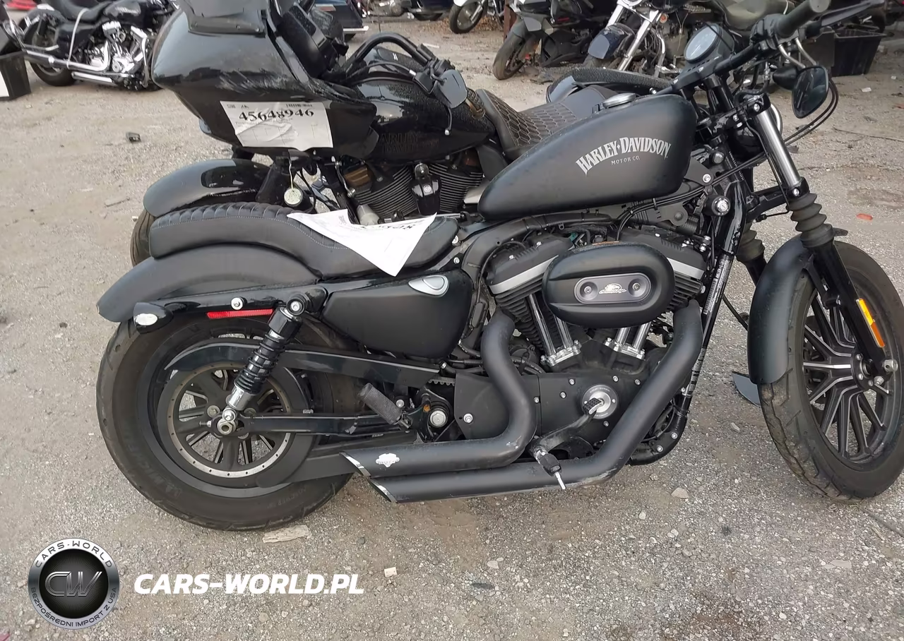 2012 Harley-Davidson Xl883 Iron 883 VIN:1HD4LE216CC444173 - 12