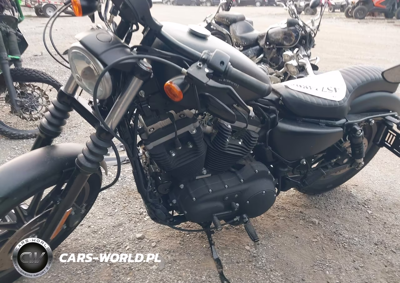 2012 Harley-Davidson Xl883 Iron 883 VIN:1HD4LE216CC444173 - 13