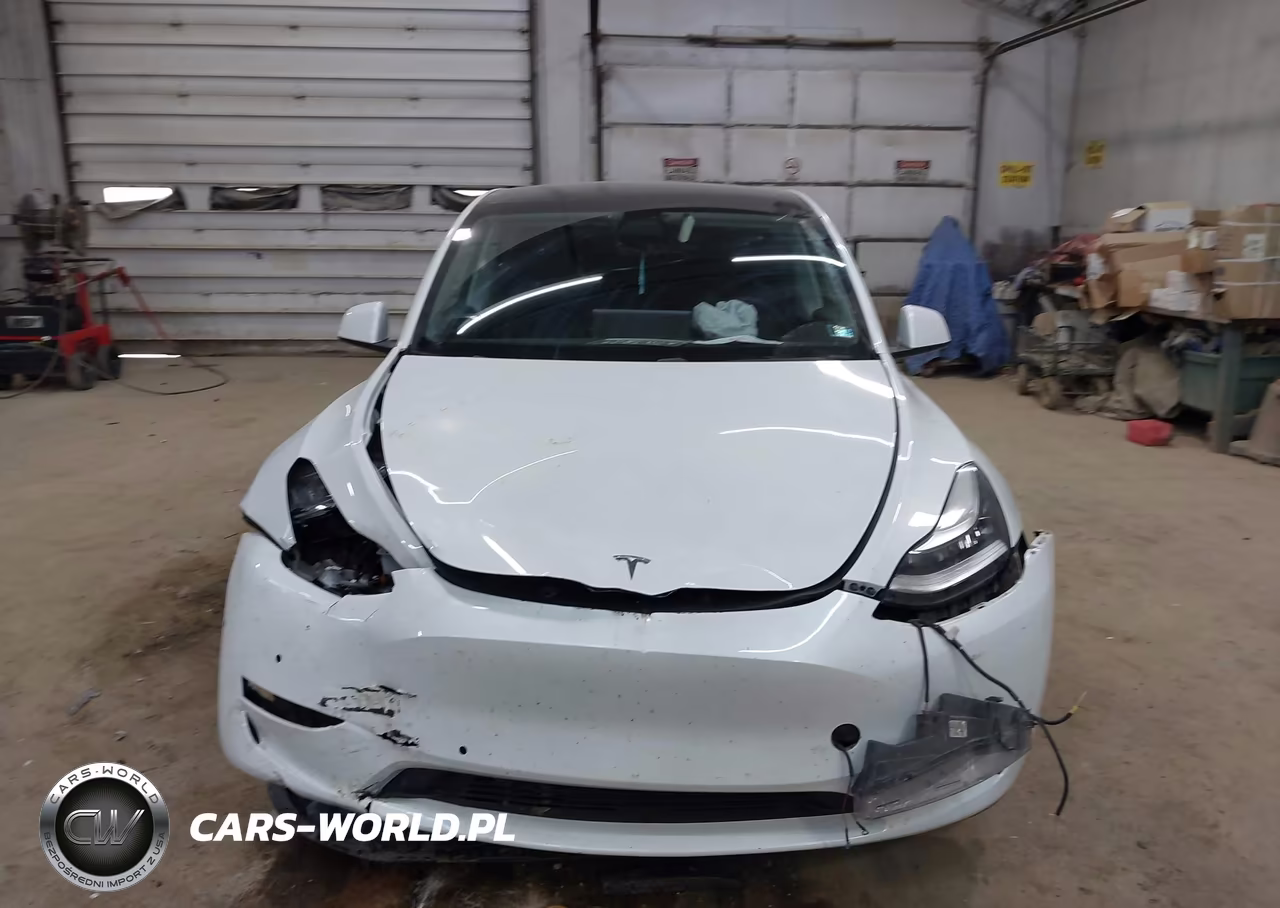 2020 Tesla Model Y Long Range Dual Motor All-Wheel Drive VIN:5YJYGDEE7LF017054 - 12