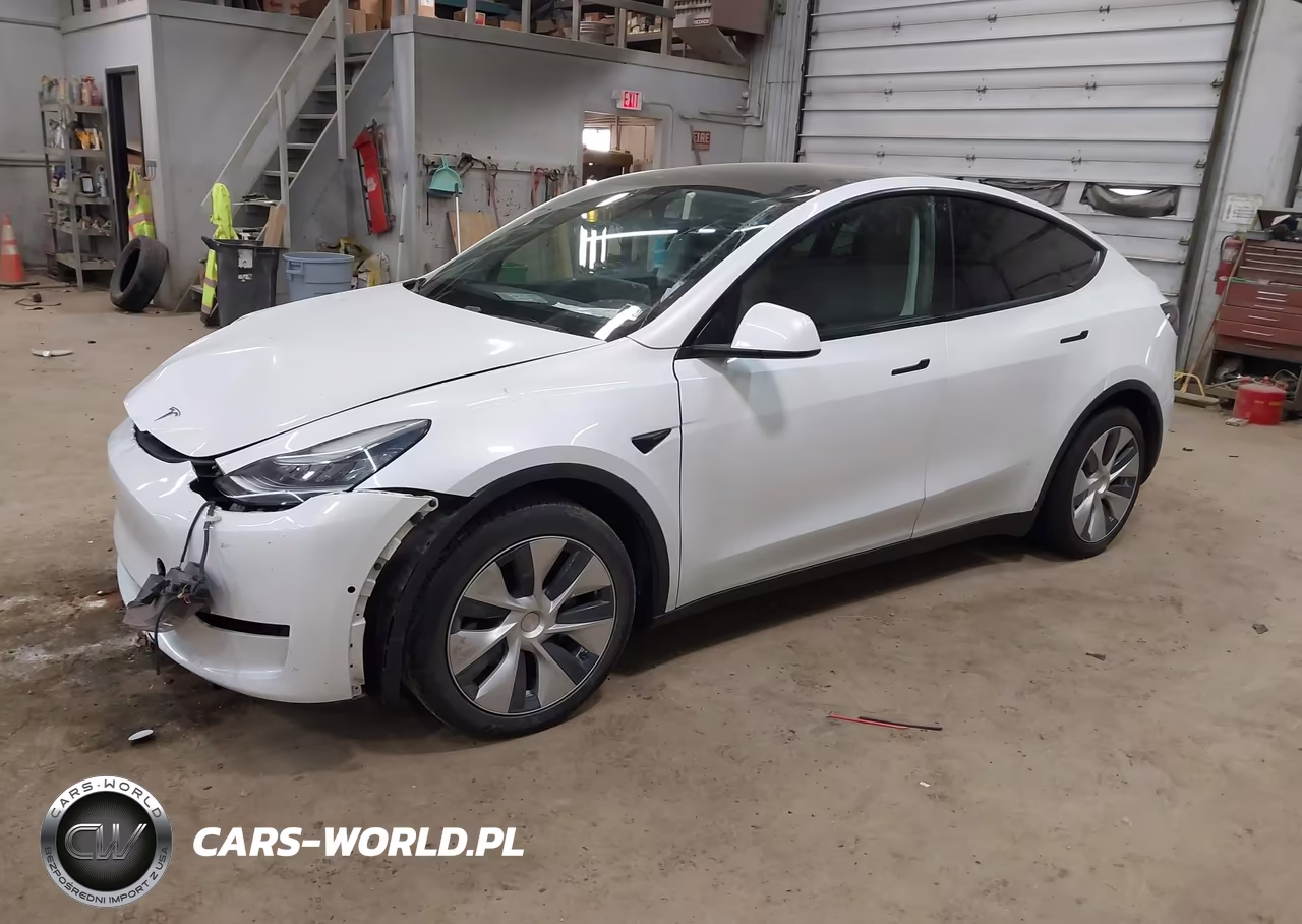 2020 Tesla Model Y Long Range Dual Motor All-Wheel Drive VIN:5YJYGDEE7LF017054 - 2