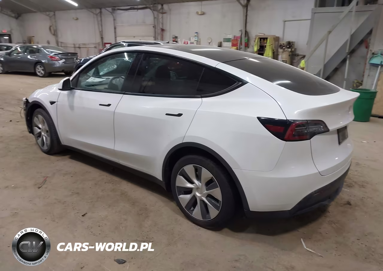 2020 Tesla Model Y Long Range Dual Motor All-Wheel Drive VIN:5YJYGDEE7LF017054 - 3