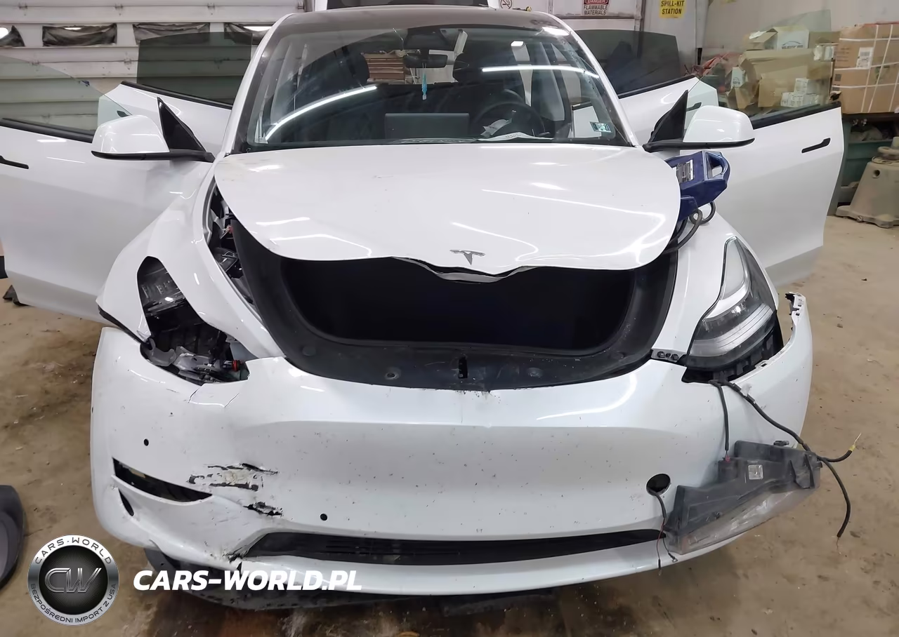 2020 Tesla Model Y Long Range Dual Motor All-Wheel Drive VIN:5YJYGDEE7LF017054 - 6