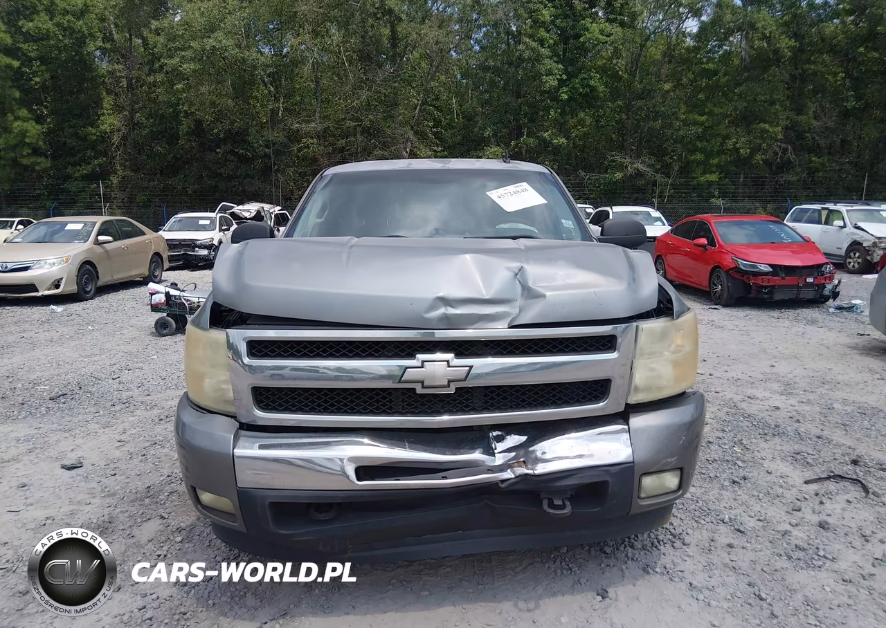 2009 Chevrolet Silverado 1500 Lt VIN:2GCEC290191119480 - 12