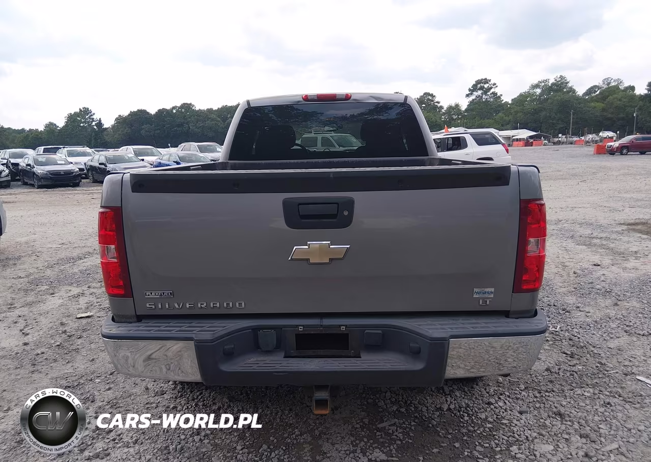 2009 Chevrolet Silverado 1500 Lt VIN:2GCEC290191119480 - 16