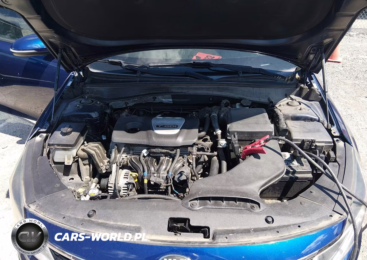 2016 Kia Optima Lx Turbo VIN:5XXGT4L11GG046267 - 10