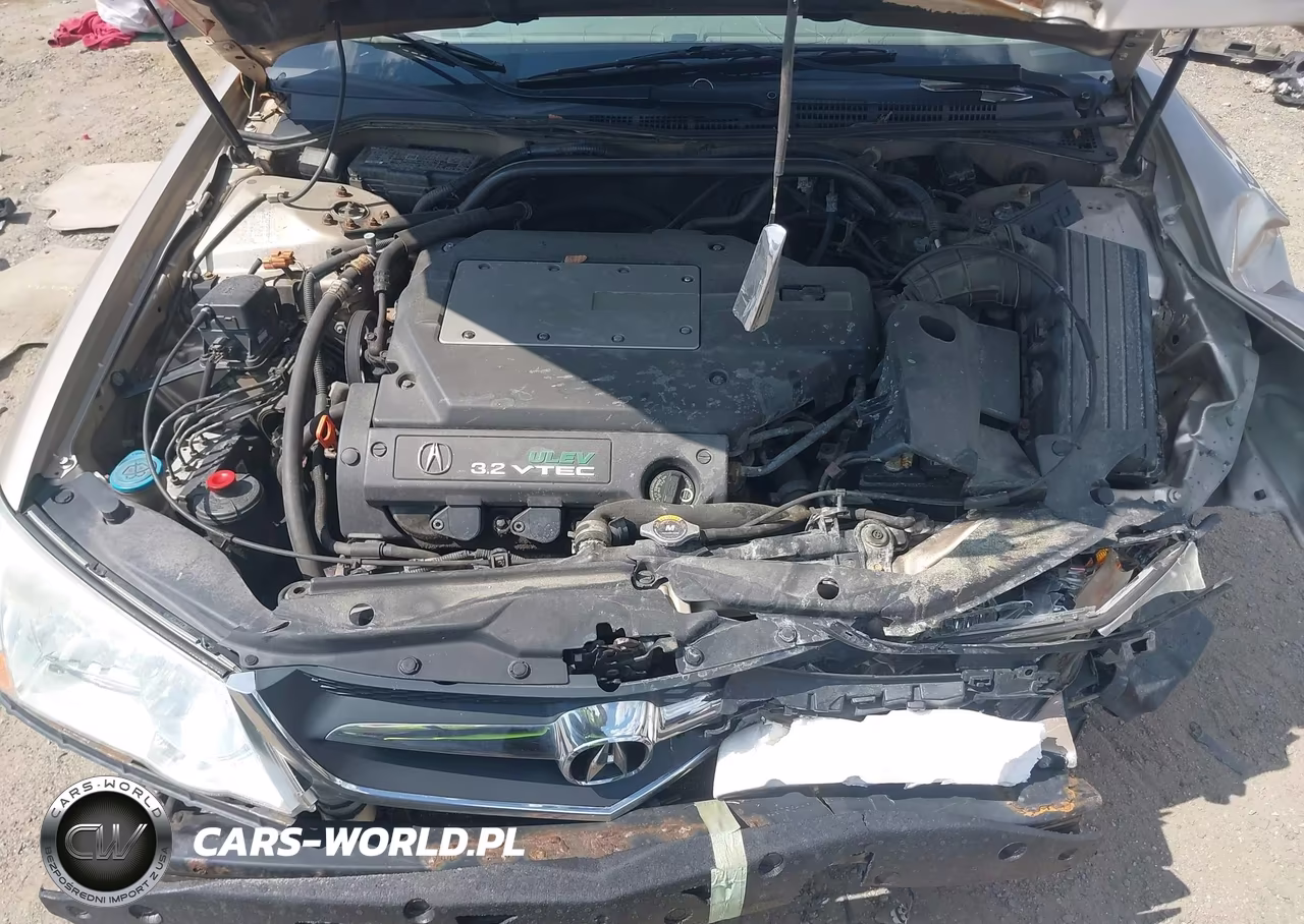 2002 Acura Tl 3.2 VIN:19UUA56642A031189 - 10