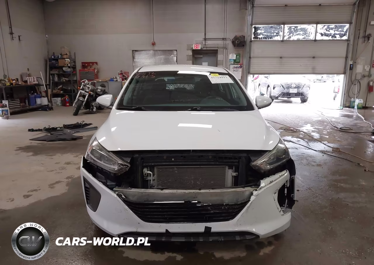 2019 Hyundai Ioniq Hybrid Blue VIN:KMHC65LC0KU129085 - 12