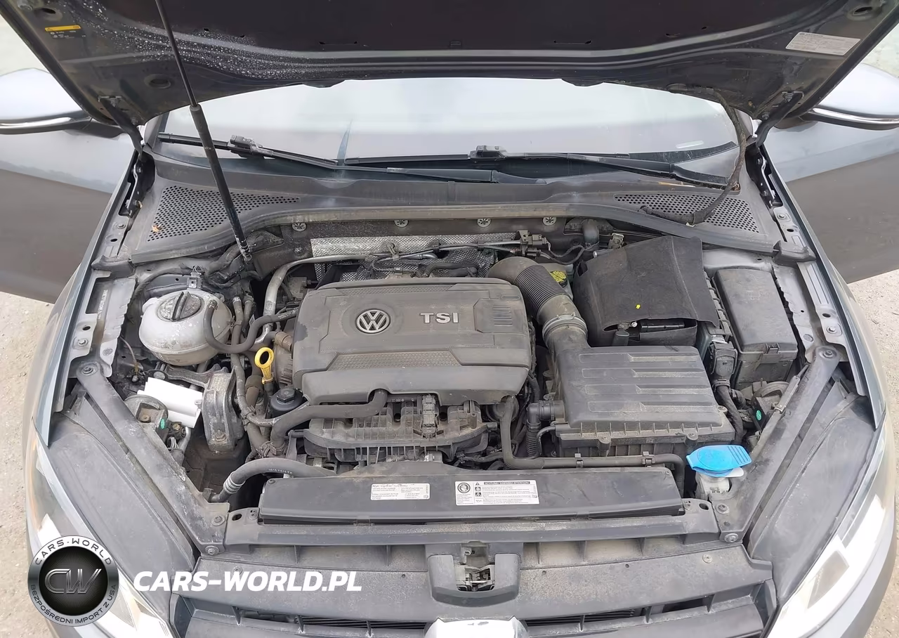 2016 Volkswagen Golf Sportwagen Tsi Se 4-Door VIN:3VWC17AU2GM514277 - 10