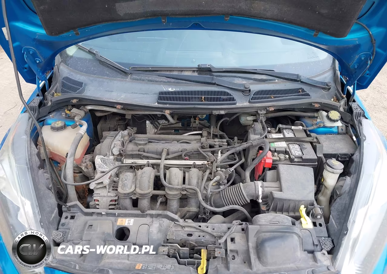 2014 Ford Fiesta Se VIN:3FADP4BJ0EM153692 - 10