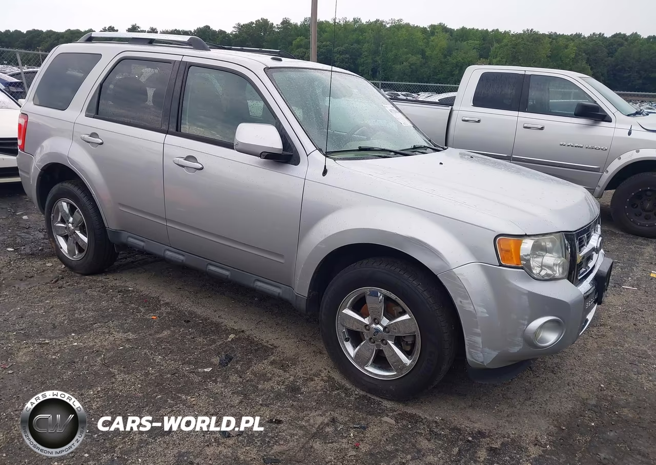 2010 Ford Escape Limited