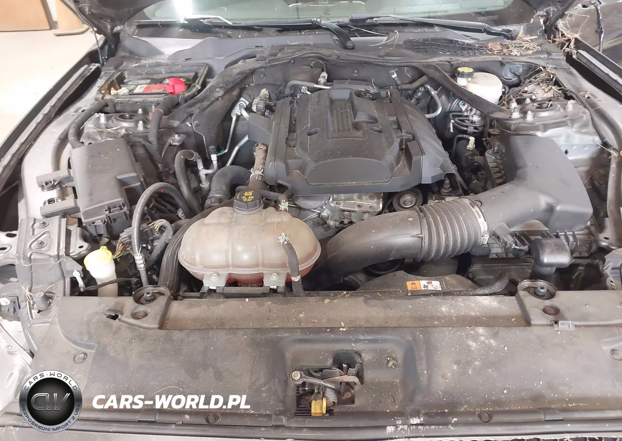 2015 Ford Mustang Ecoboost Premium VIN:1FATP8UH0F5416994 - 10