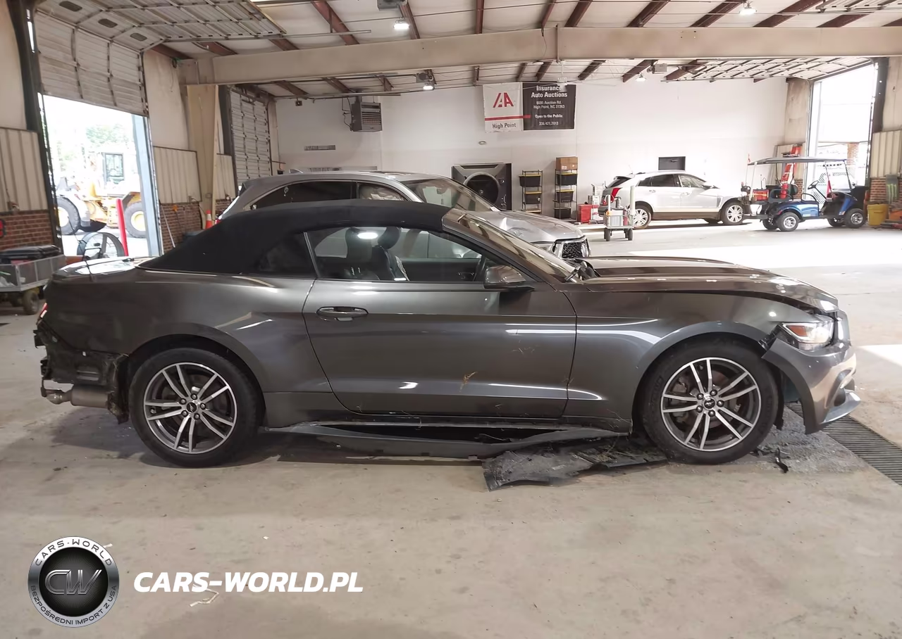 2015 Ford Mustang Ecoboost Premium VIN:1FATP8UH0F5416994 - 13