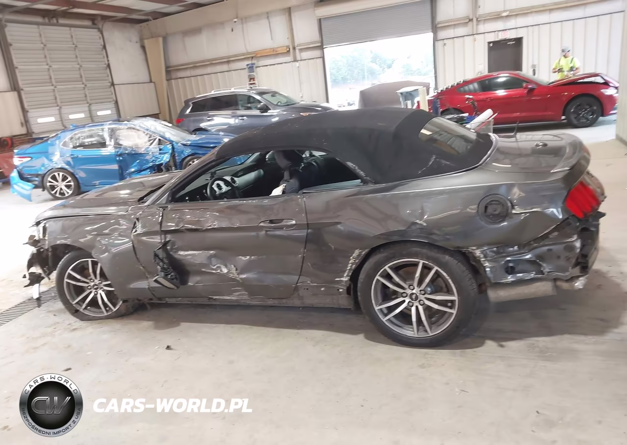 2015 Ford Mustang Ecoboost Premium VIN:1FATP8UH0F5416994 - 14