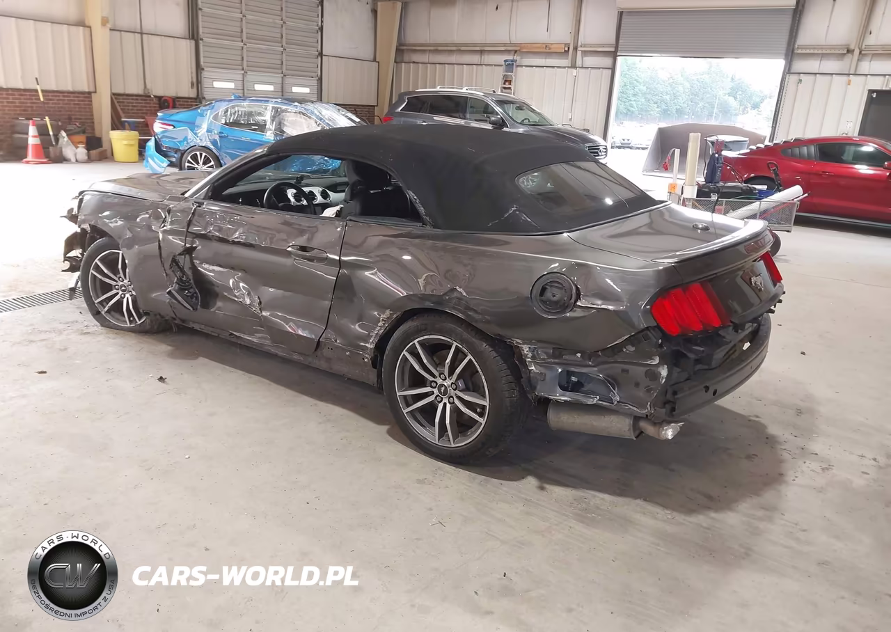 2015 Ford Mustang Ecoboost Premium VIN:1FATP8UH0F5416994 - 3