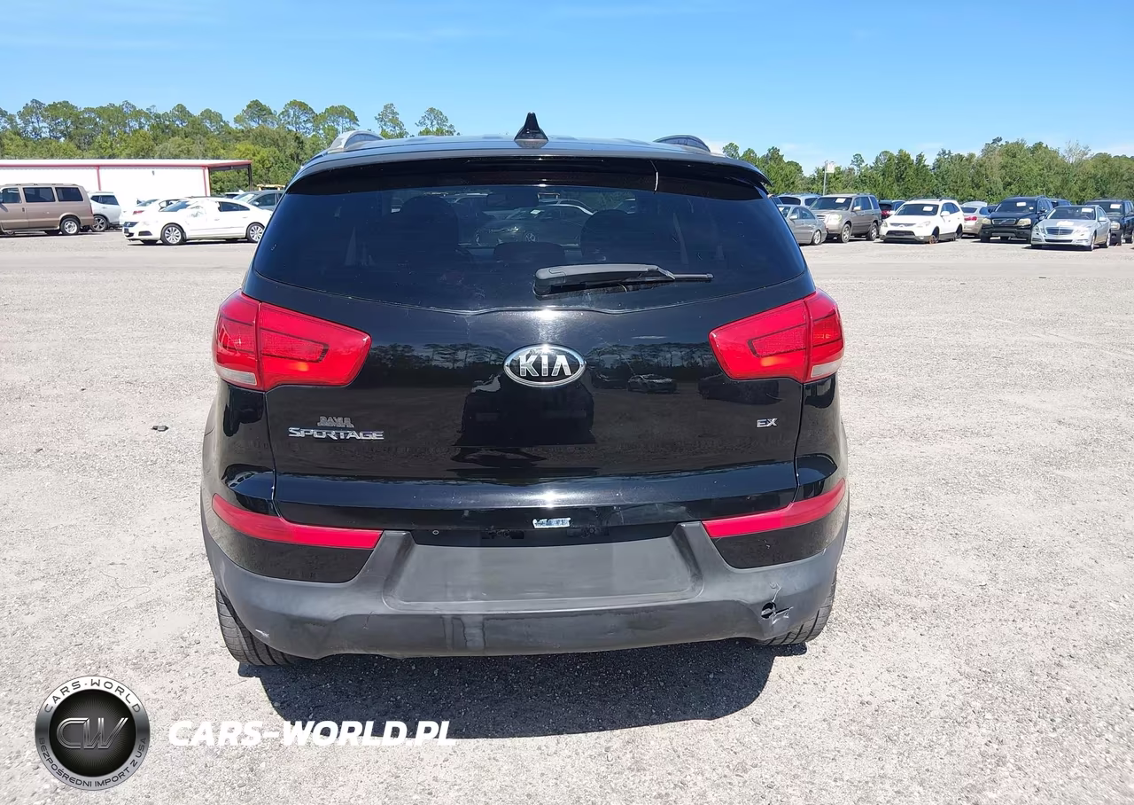 2015 Kia Sportage Ex VIN:KNDPC3AC1F7724666 - 16