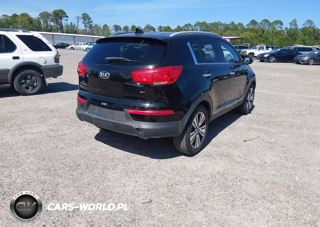 2015 Kia Sportage Ex VIN:KNDPC3AC1F7724666 - 4