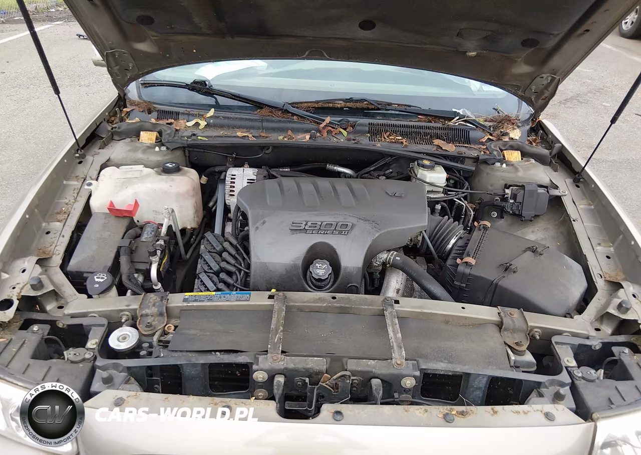 2003 Buick Lesabre Custom VIN:1G4HP54K23U209045 - 10
