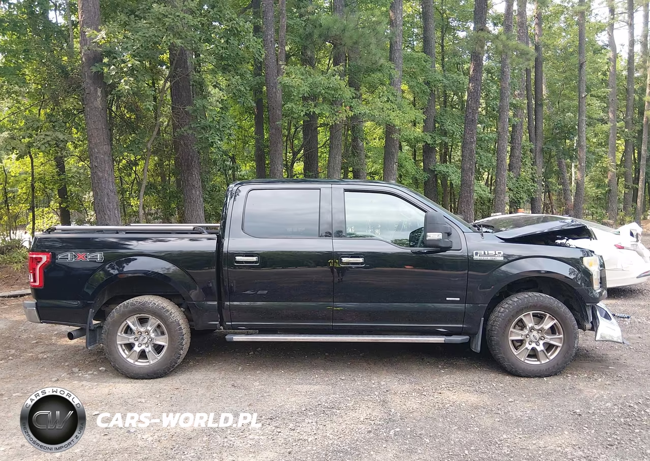 2016 Ford F-150 Xlt VIN:1FTEW1EP9GKD56168 - 13