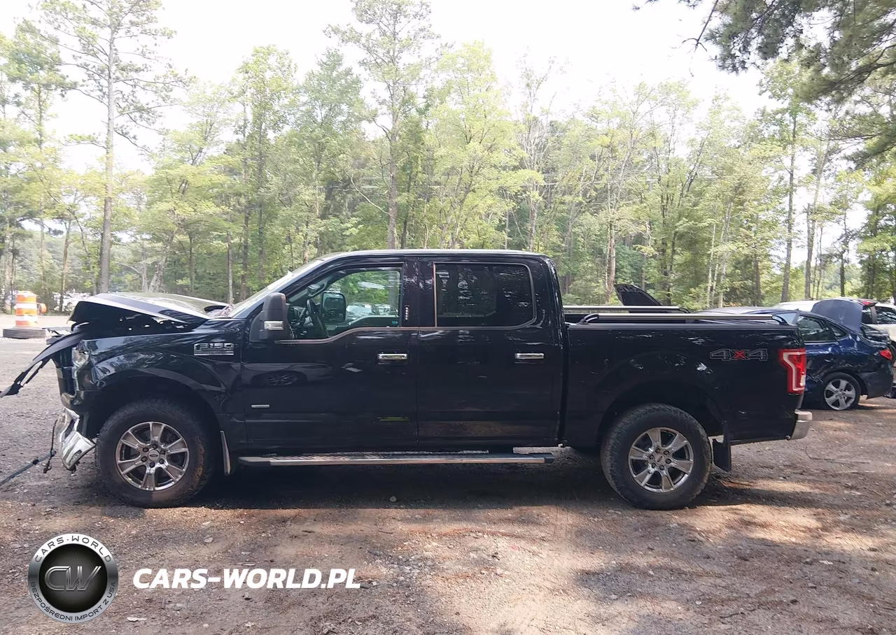 2016 Ford F-150 Xlt VIN:1FTEW1EP9GKD56168 - 14