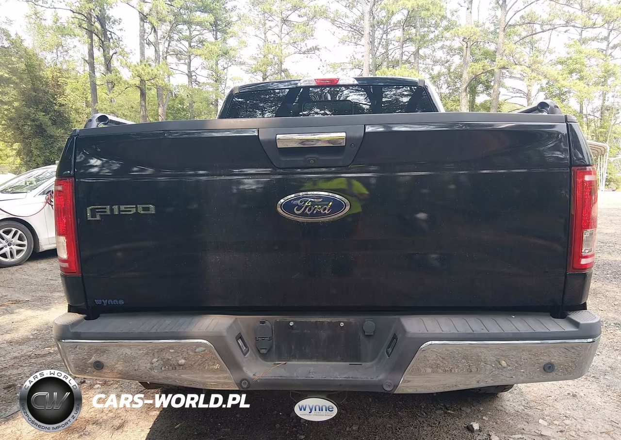 2016 Ford F-150 Xlt VIN:1FTEW1EP9GKD56168 - 16