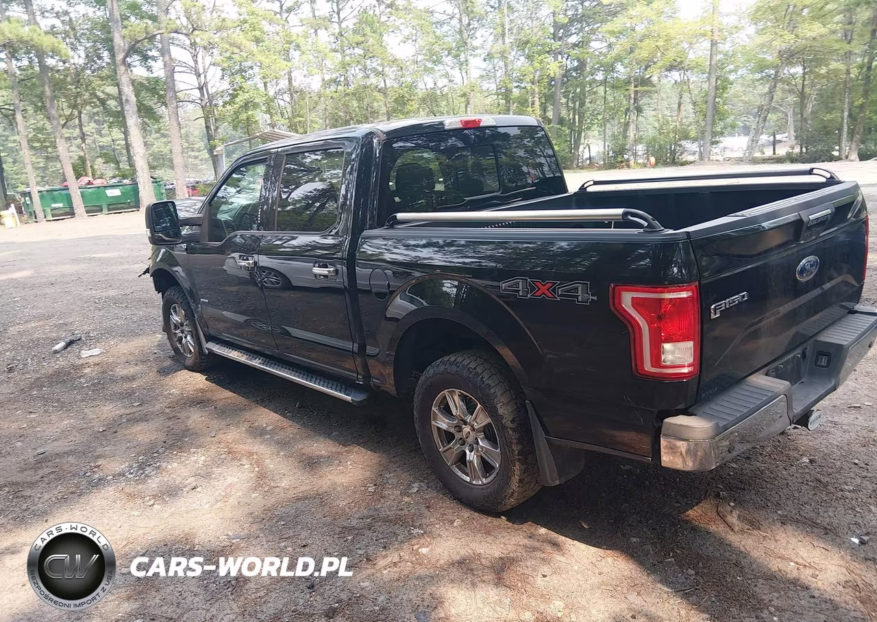2016 Ford F-150 Xlt VIN:1FTEW1EP9GKD56168 - 3