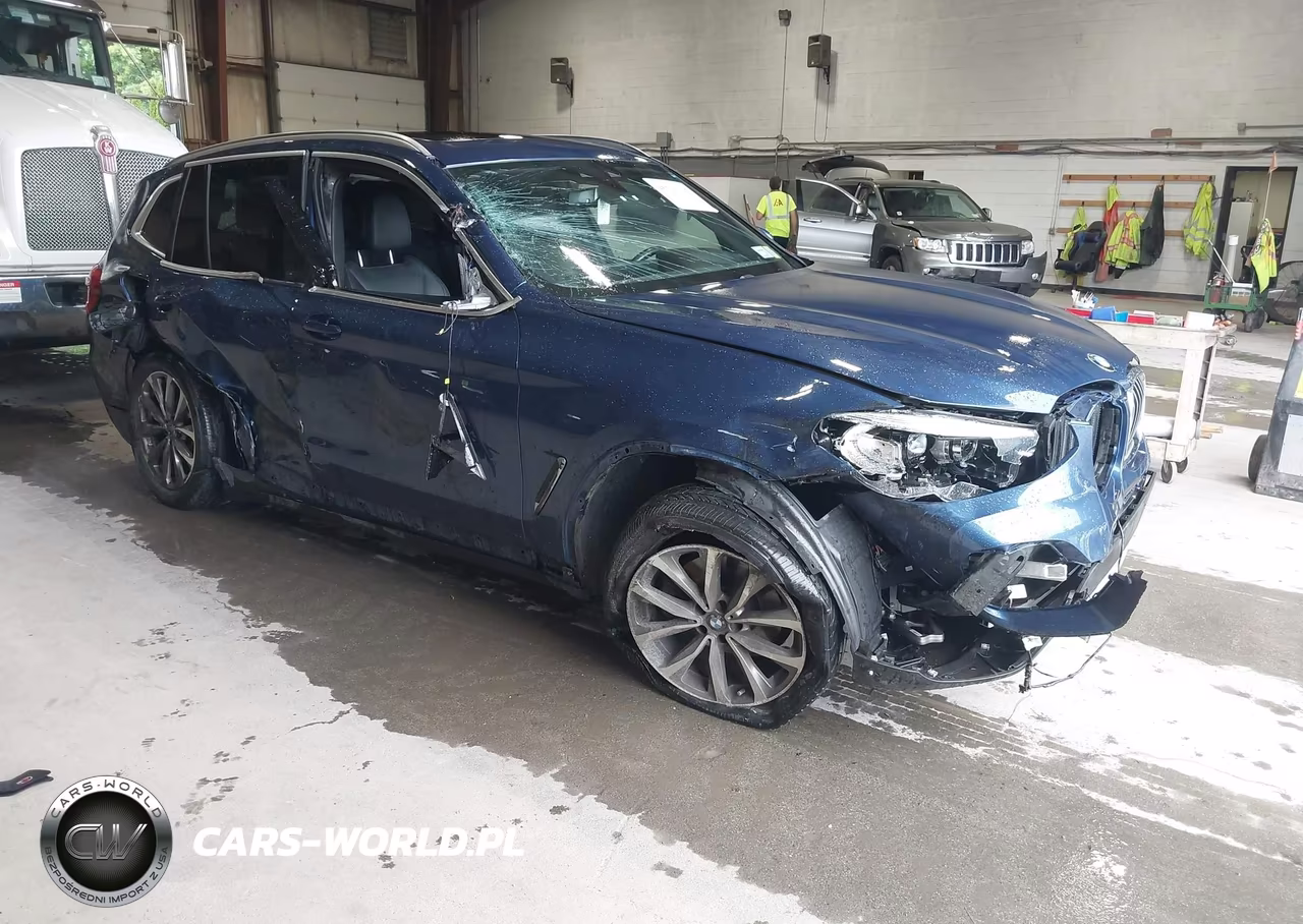 2019 BMW X3 xDrive30I – zdjęcie 1 z 19