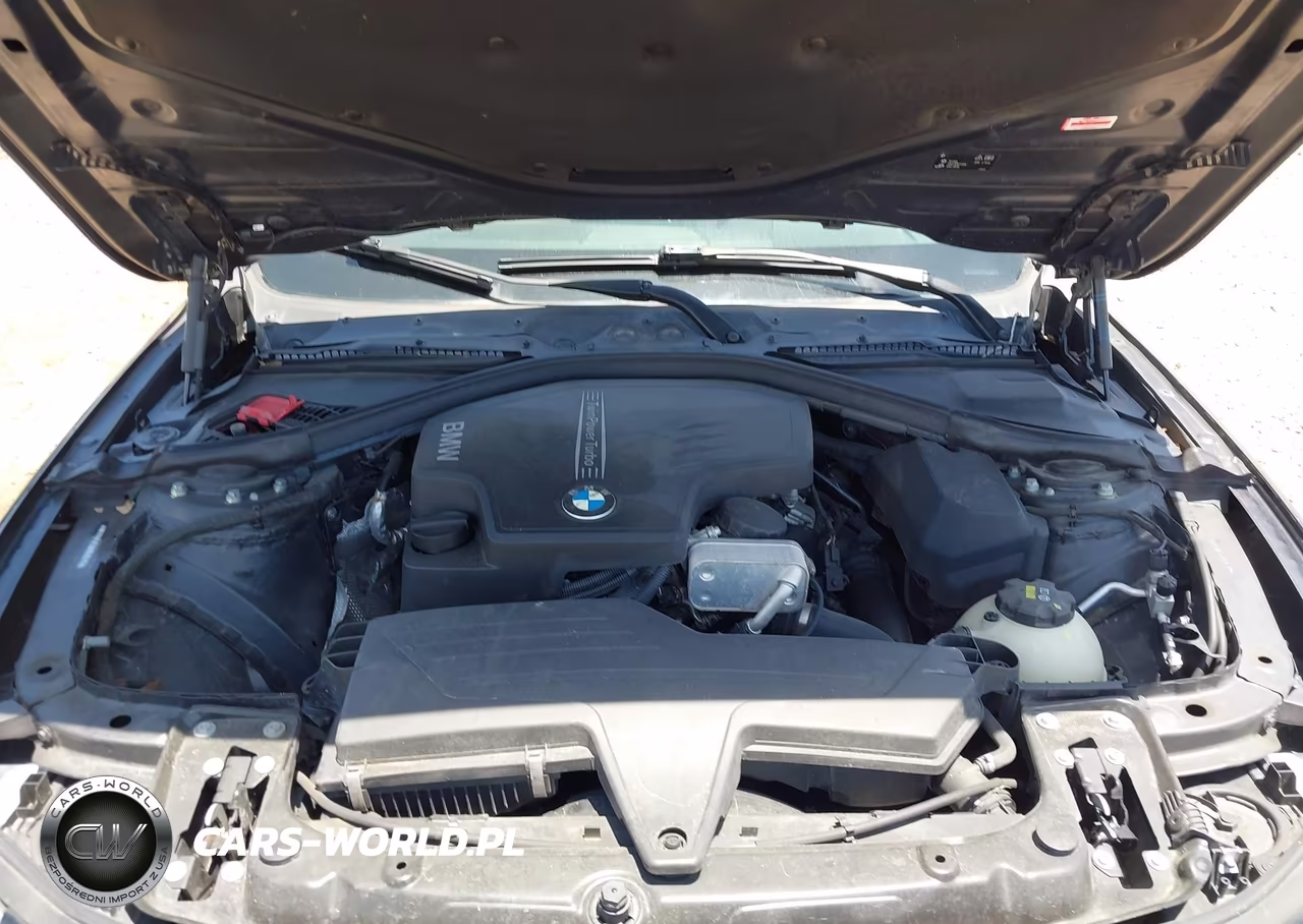 2016 BMW 320I VIN:WBA8A9C59GK618215 - 10